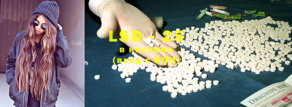 индика Покров