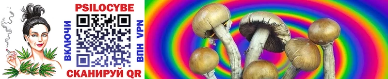 Псилоцибиновые грибы Magic Shrooms  Купить закладки  Саранск 