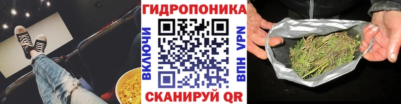 Купить закладки  Саранск  МАРИХУАНА гибрид 